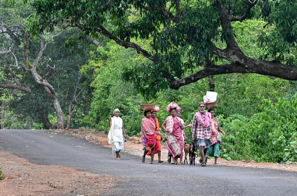 Dongria Kondh tribals head to the weekly Monday shandy at Kalyansingpur, at the foothills of the Niyamgiri Hills in Odisha, where the market remains a vital centre for trade and community interaction.
