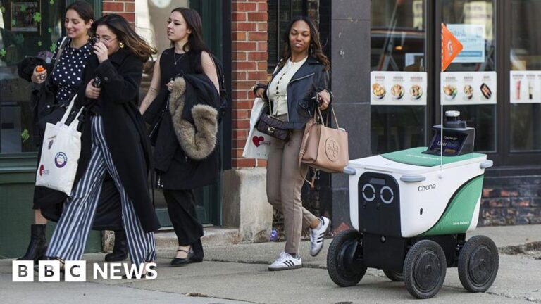 ‘We had to get out of the way’: The backlash over delivery robots