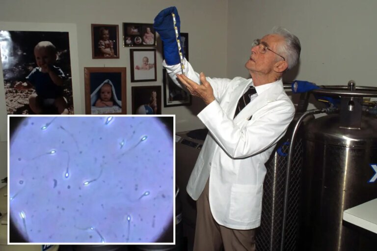 Radical ‘genius sperm bank’ theory exposed