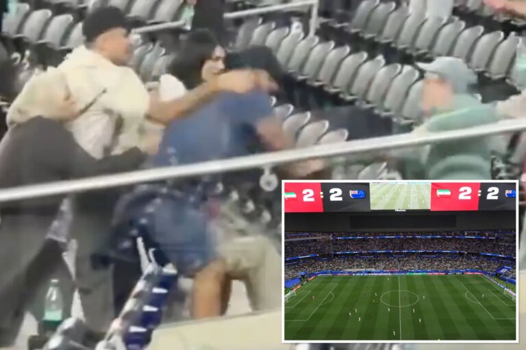 Moment vicious brawl breaks out in stands of Iran World Cup match