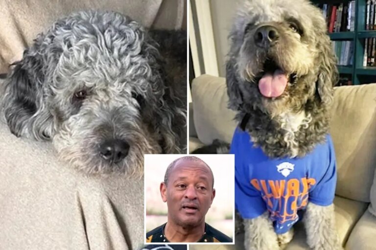 National Action Network demand LAPD bodycam footage after dog executed during Knicks celebration