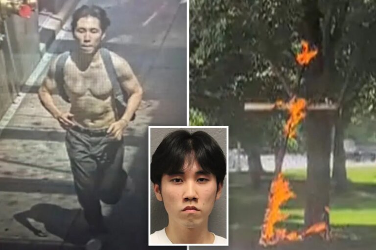 21-year-old man is charged with a hate crime after setting a cross on fire in Chicago park