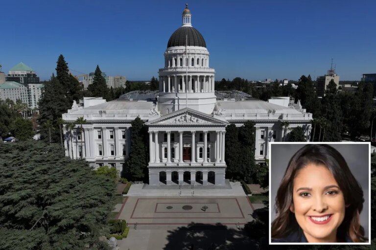 California bill would charge high rates, take people to court for records requests