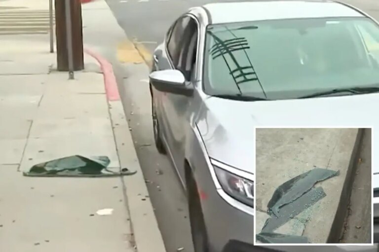 Brazen thief’s astonishing heist targeting entire street in one night
