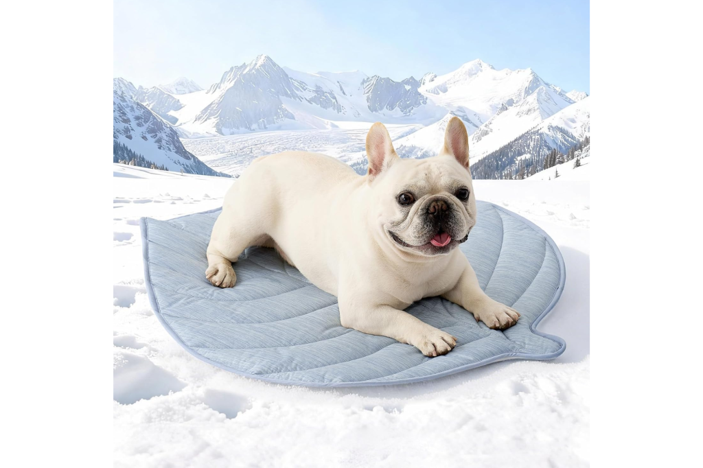 A white French Bulldog lies on a blue cooling pad in a snowy mountain landscape.