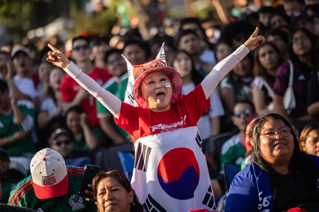A fan in a red shirt and Korean flag attire cheers with arms raised.