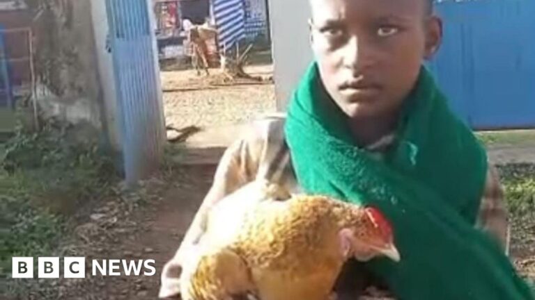 Boy, 12, wins hearts after trying to check sick chicken into Ethiopian hospital