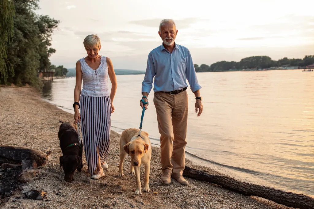 Shot of a happy senior couple walking with their dogs by the river.