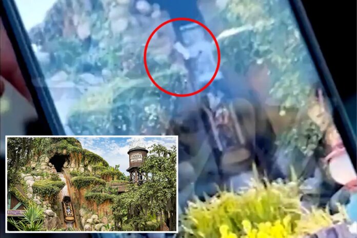 COMP-DISNEYLAND-WATERFALL.jpg