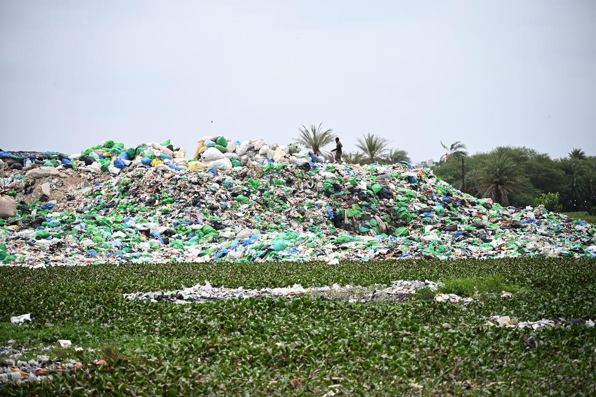 The construction of diversion channels around Bellandur and Varthur lakes, which previously acted as the river’s filters, has increased the pollution load carried by the Dakshina Pinakini.