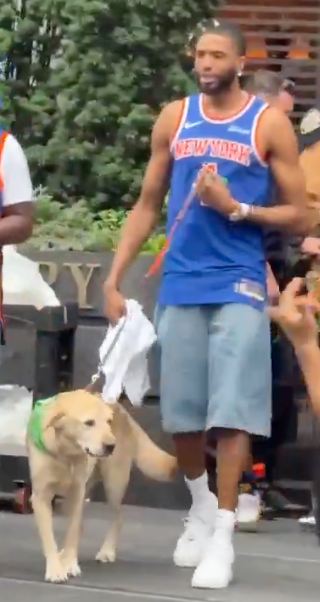A man in a blue New York Knicks jersey walking a light brown dog.