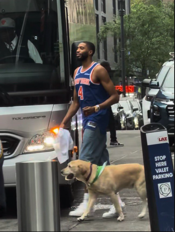 A man in a Knicks jersey walks past a tour bus with a yellow lab walking beside him.