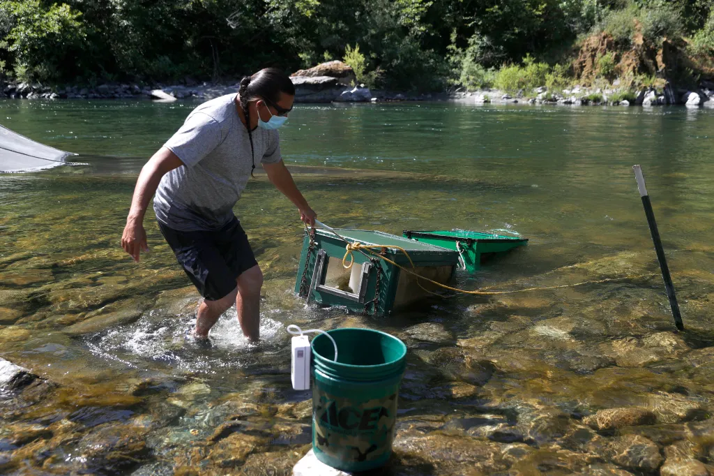 Gilbert Myers of the Yurok Fisheries Department pulling fish traps from the Klamath River.