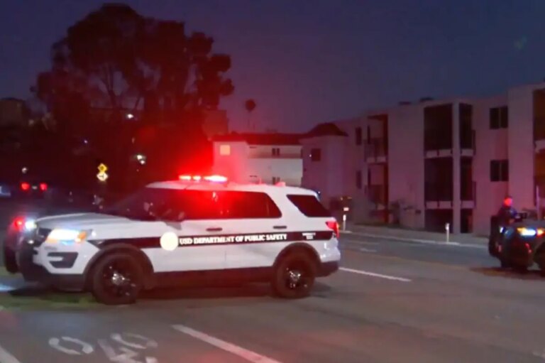 USD student struck and killed by police car in tragic incident