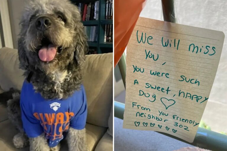LAPD Chief vows full investigation after officer shoots, kills Knicks fan’s dog