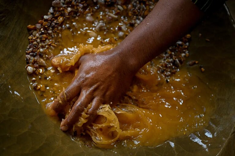 US must halt the terror-driven gold rush looting Venezuela