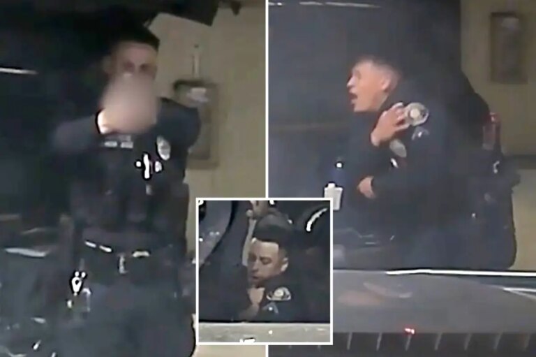 Pasadena cop accidentally shoots partner in parking garage