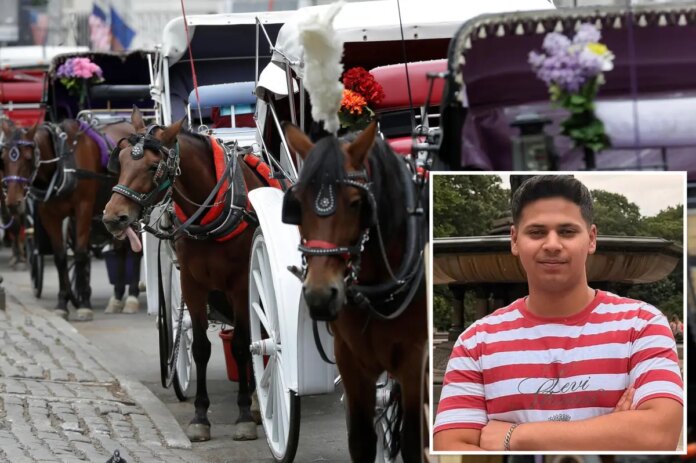 horse-carriage-bill-comp.jpg