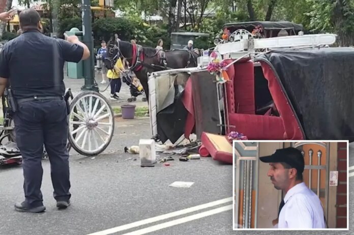 horse-comp-.jpg
