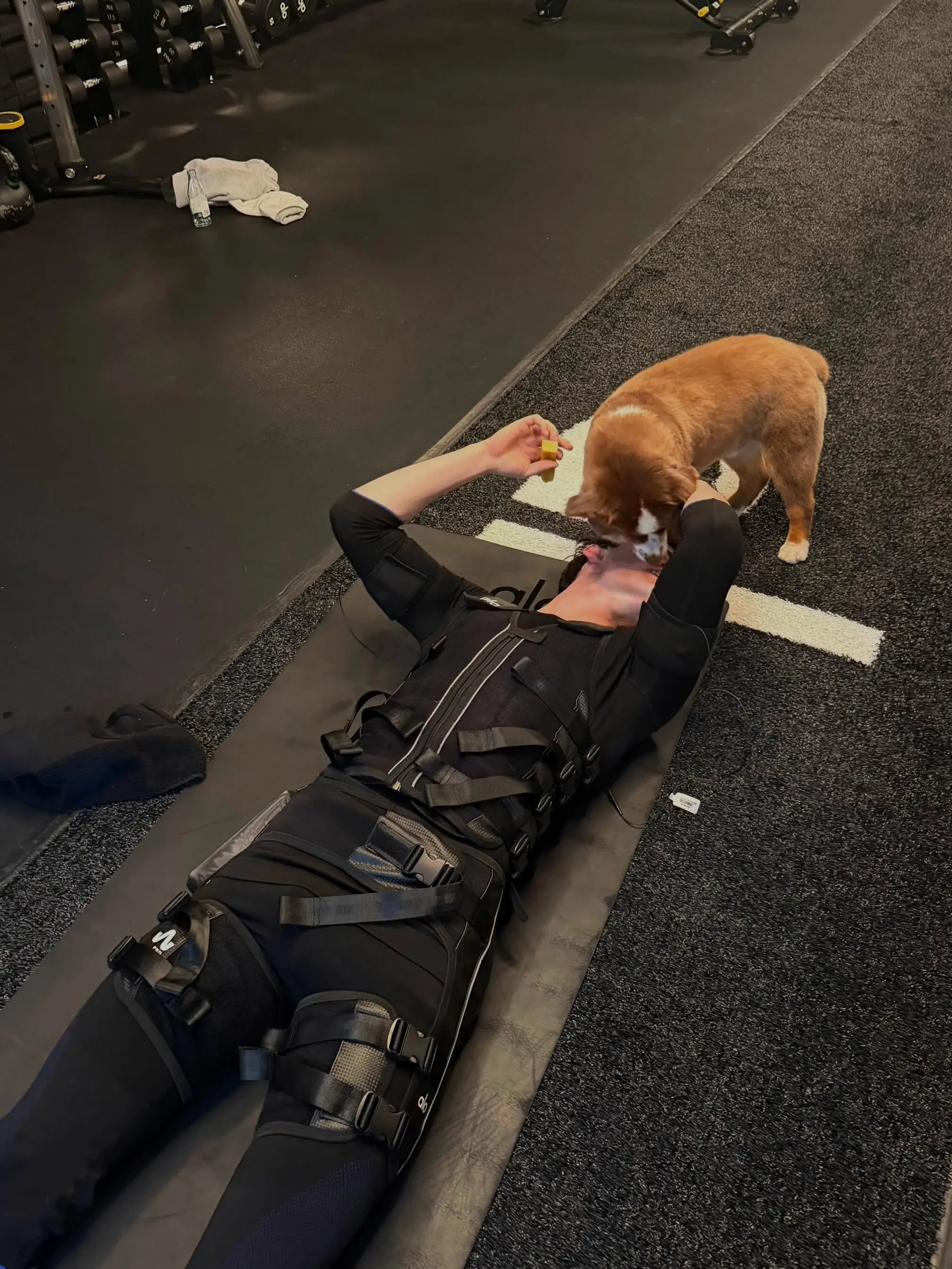 Noah Schnapp gets a kiss from his dog at the gym. 
