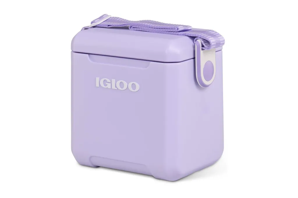 Igloo
