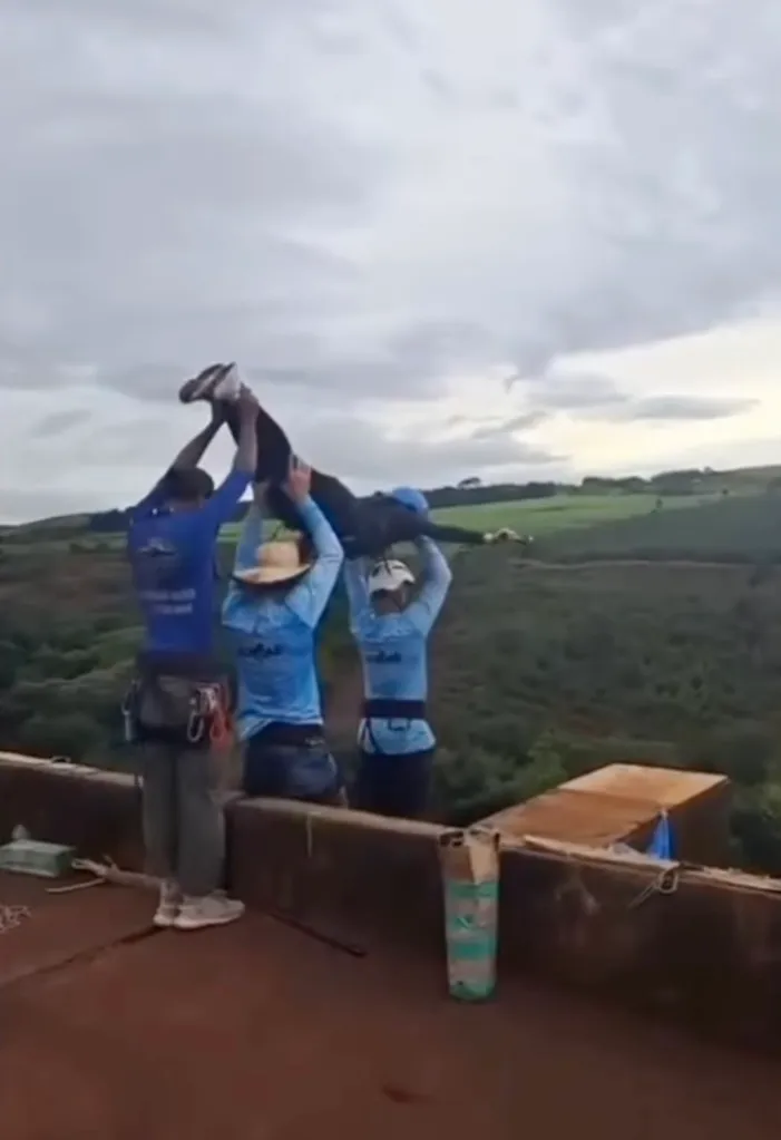 Three people holding a woman over a high edge, about to drop her for rope jumping.