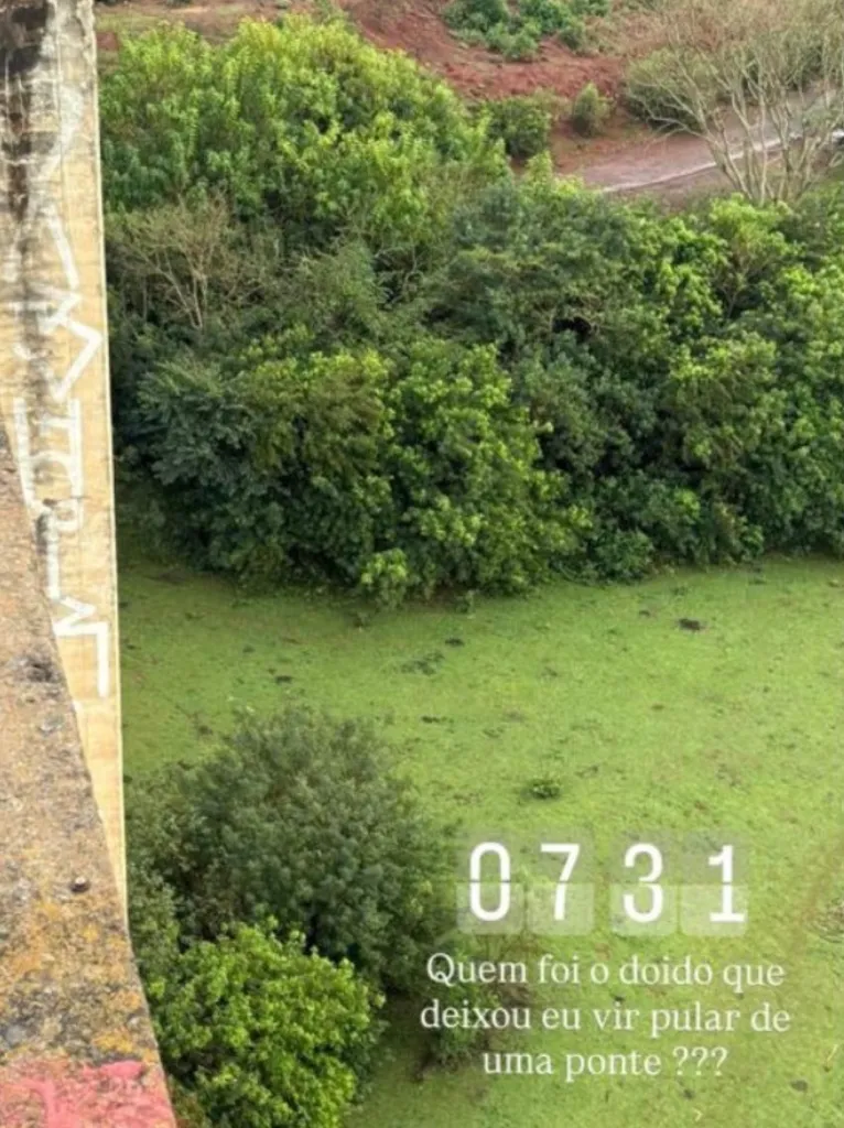 View of dense green foliage and a grassy field from a bridge, with text overlay.
