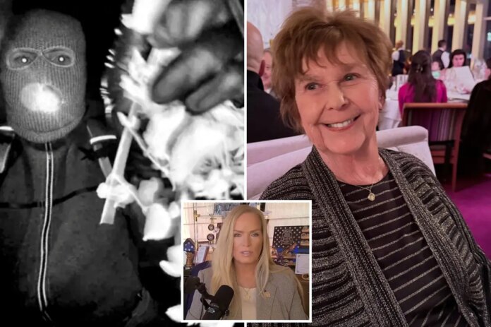 nancy-guthrie-missing-porch-guy-fbi-comp.jpg
