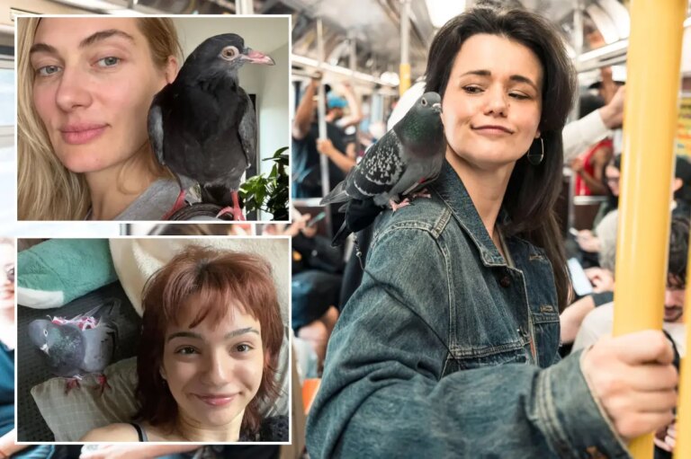 Meet the wacky ‘pigeon girls’ adopting oft-hated ‘rats with wings’ who swear they make lovable pets: ‘They’re amazing creatures’