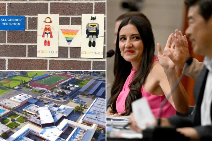 newspress-collage-71hy7g9gr-1782860395555.jpg