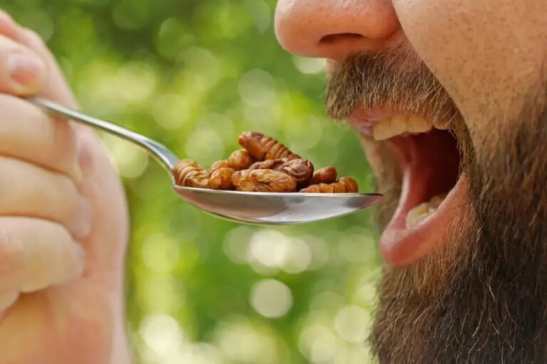 Eating insects may be easier to stomach than consumers expect