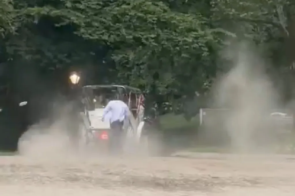 Dust clouds around a bolting horse-drawn carriage in Central Park.