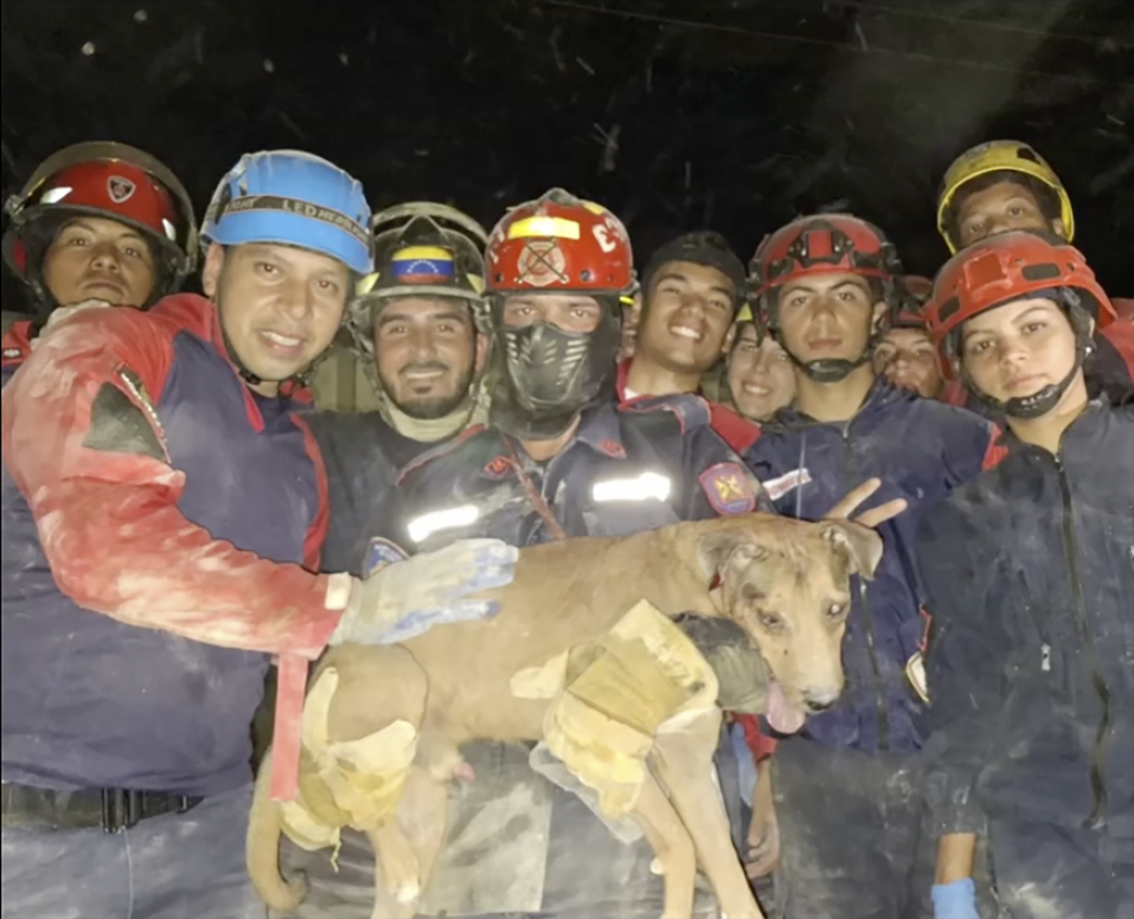 A rescue team from the Caracas Fire Department holding a small dog they found under rubble.