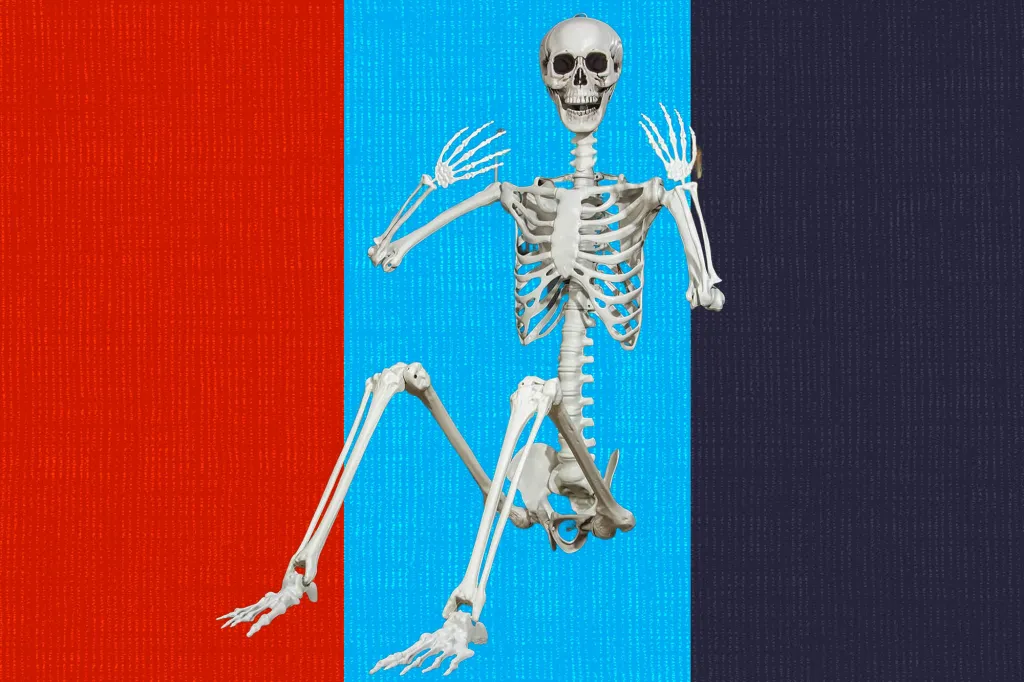 Skeleton on a flag of red, blue, and dark gray vertical stripes.