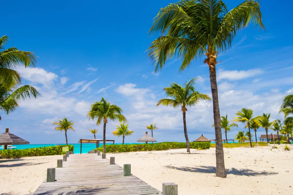 A wooden path leads to a white sand beach with palm trees, green bushes, and turquoise water under a blue sky with scattered clouds in Turks and Caicos.