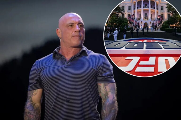 Joe Rogan makes wild claim about UFC White House viewership