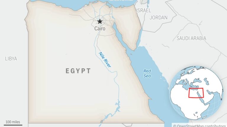 Ex-Egyptian doctor detained over hospital abuse allegations, released on bail