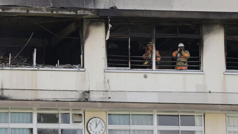 About 300 children and teachers evacuated or rescued after fire breaks out at a Tokyo school
