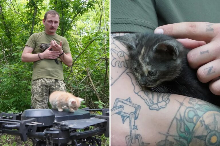 Operation Meow-Meow! Ukrainian ‘Vampire’ drone rescues cat family from frontlines