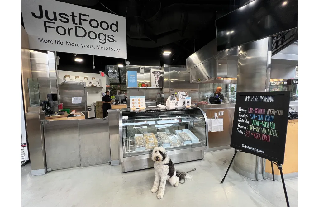 A dog sitting in front of a display case