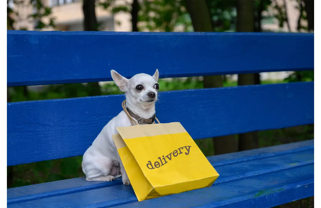 Dog with delivery bag