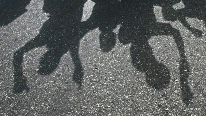 image204.jpeg