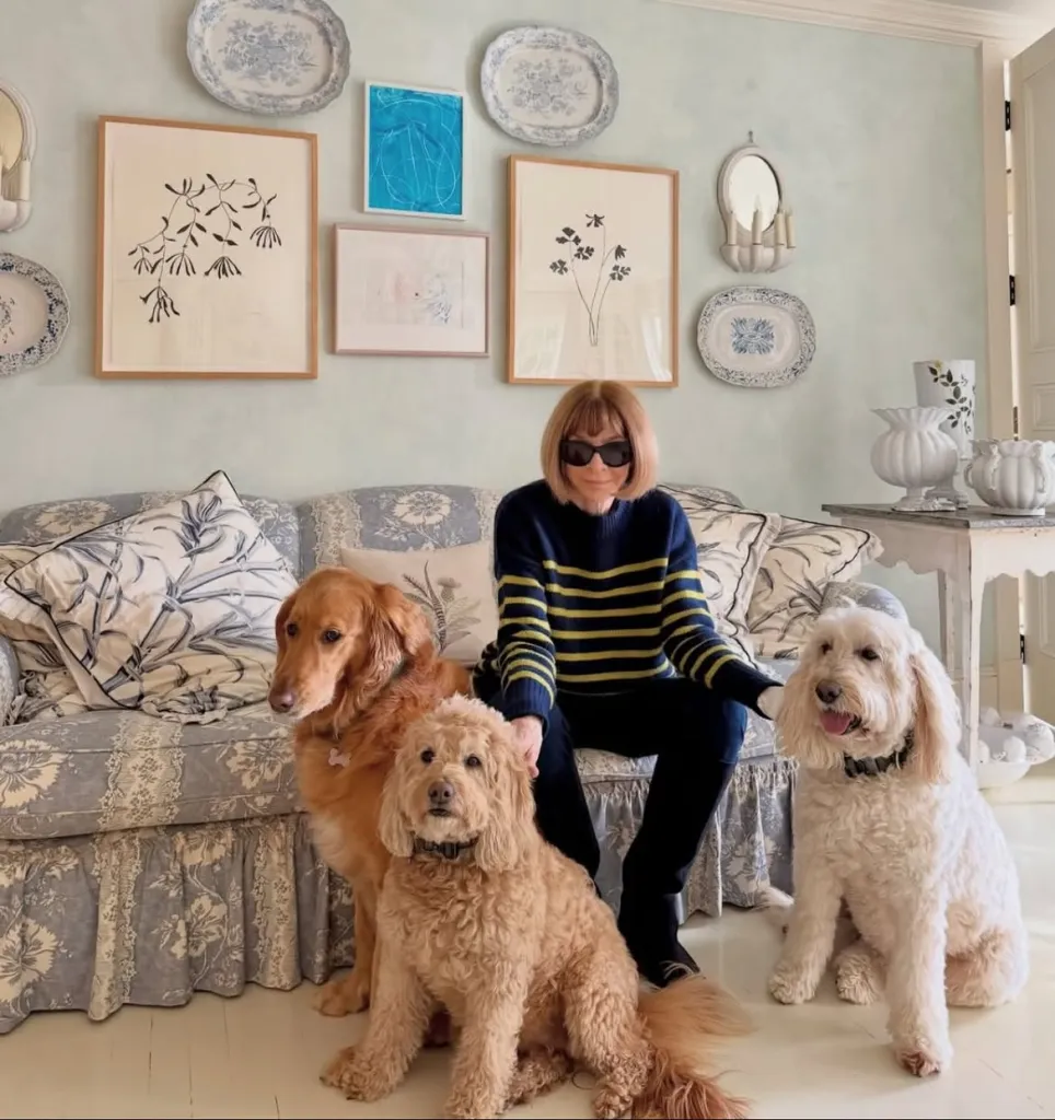 Jennifer Lawrence sitting on a floral sofa with three dogs on the floor beside her.