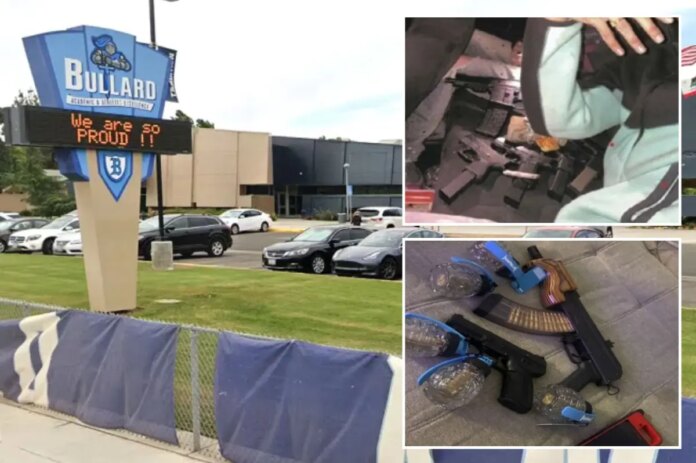 newspress-collage-751rv39dm-1782872414206.jpg