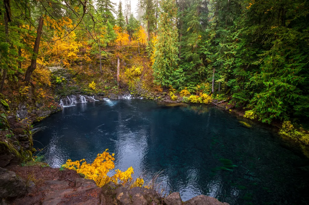 Tamolitch Blue Pool surrounded by fall foliage at McKenzie Pass in Oregon.